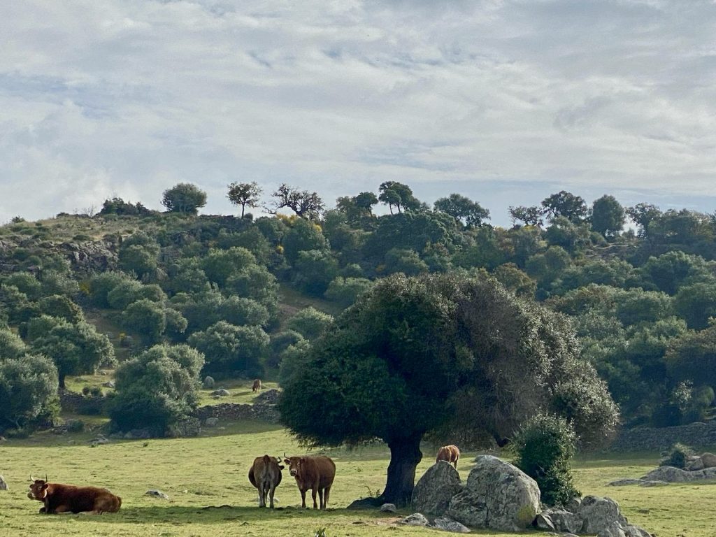 entorno rural de la casa rural valle secreto